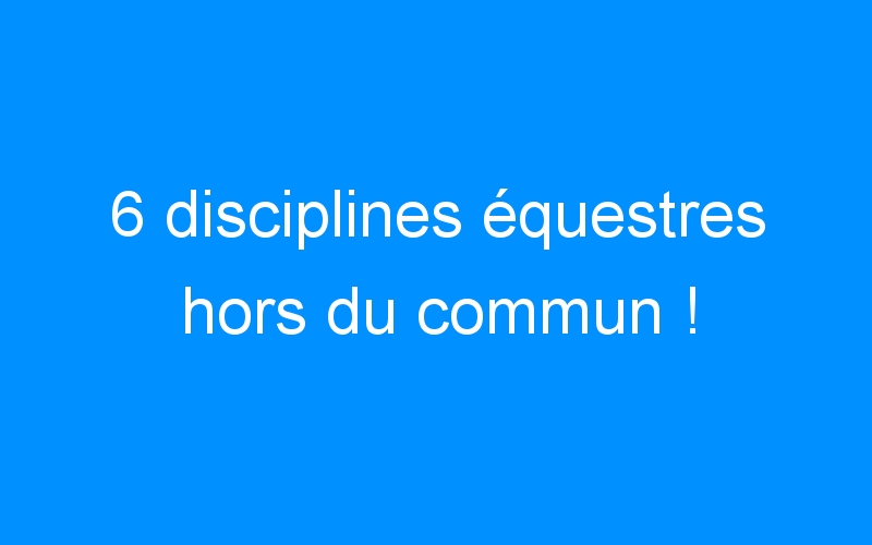 You are currently viewing 6 disciplines équestres hors du commun !