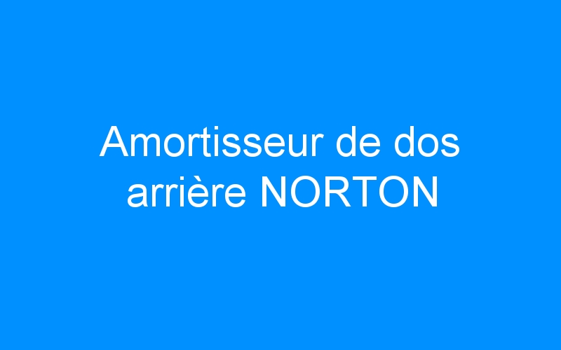 You are currently viewing Amortisseur de dos arrière NORTON