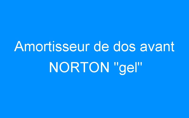 You are currently viewing Amortisseur de dos avant NORTON « gel »