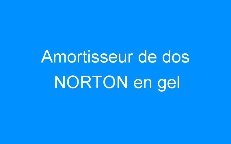 You are currently viewing Amortisseur de dos NORTON en gel