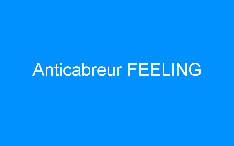 You are currently viewing Anticabreur FEELING