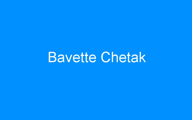 You are currently viewing Bavette Chetak