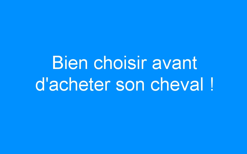 You are currently viewing Bien choisir avant d’acheter son cheval !