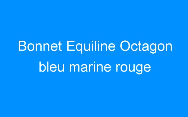 Lire la suite à propos de l’article Bonnet Equiline Octagon bleu marine rouge