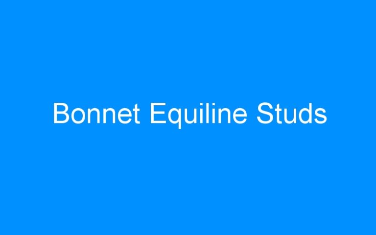 Bonnet Equiline Studs