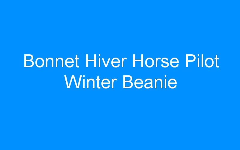 You are currently viewing Bonnet Hiver Horse Pilot Winter Beanie