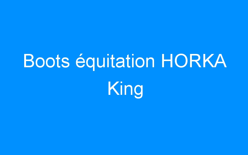 You are currently viewing Boots équitation HORKA King