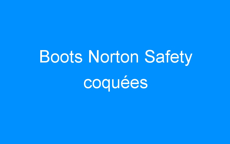 You are currently viewing Boots Norton Safety coquées