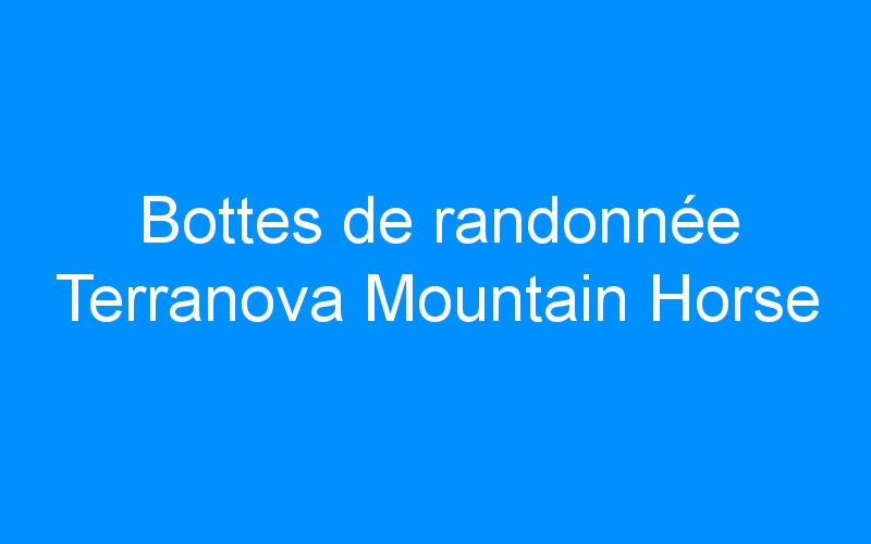 You are currently viewing Bottes de randonnée Terranova Mountain Horse