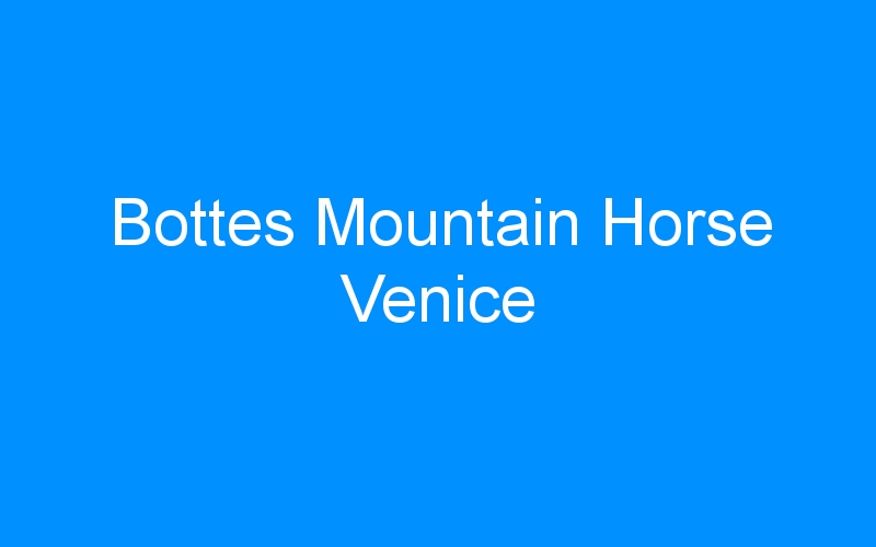 You are currently viewing Bottes Mountain Horse Venice