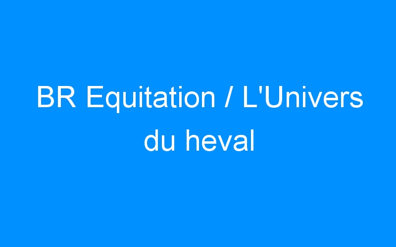 You are currently viewing BR Equitation / L’Univers du heval