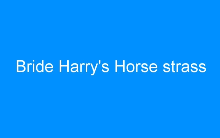 Lire la suite à propos de l’article Bride Harry’s Horse strass