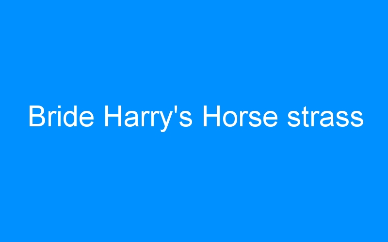 Bride Harry’s Horse strass