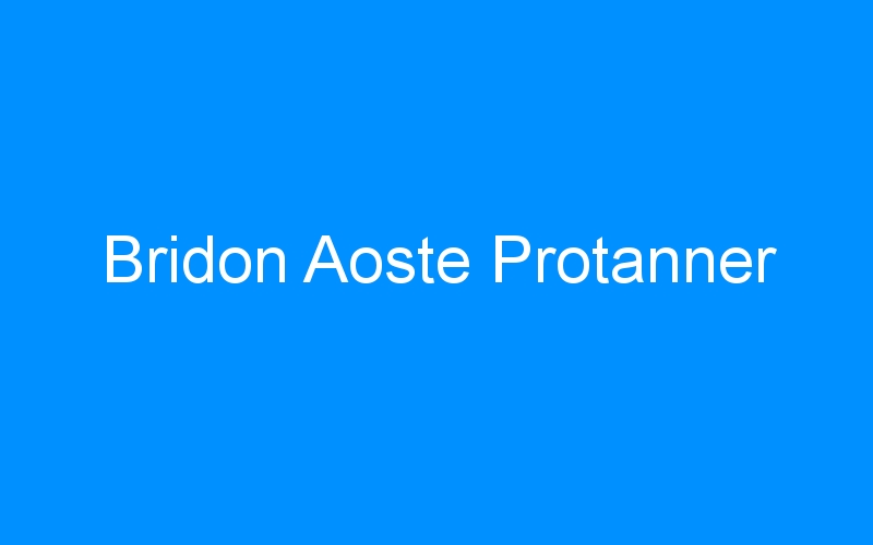 You are currently viewing Bridon Aoste Protanner