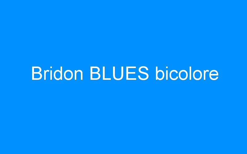 Bridon BLUES bicolore