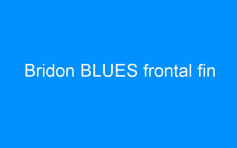 You are currently viewing Bridon BLUES frontal fin