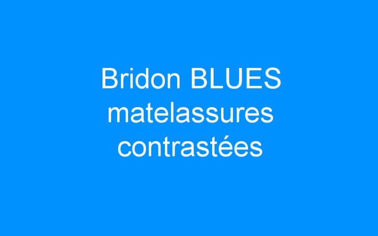 Lire la suite à propos de l’article Bridon BLUES matelassures contrastées