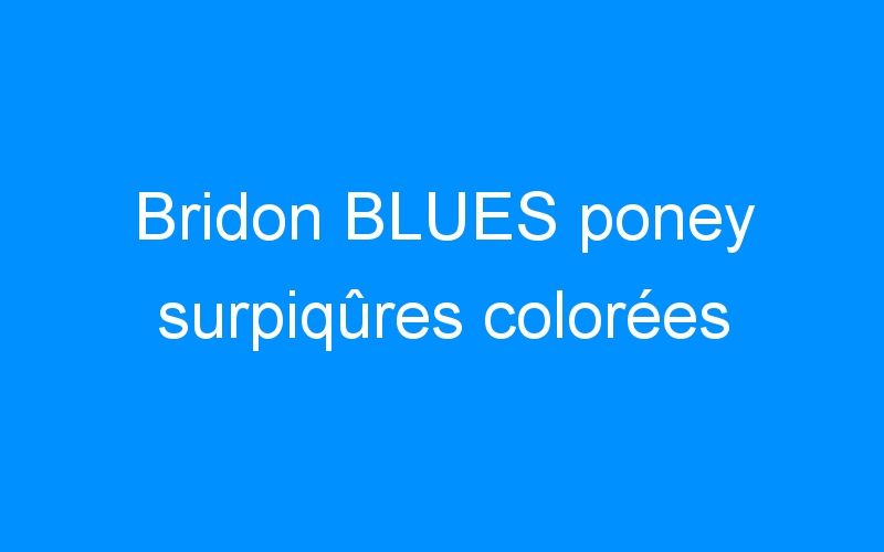 Bridon BLUES poney surpiqûres colorées