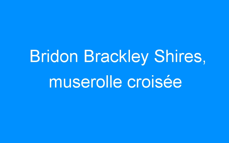 Bridon Brackley Shires, muserolle croisée