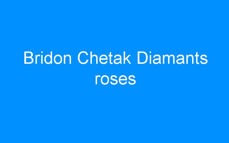 You are currently viewing Bridon Chetak Diamants roses