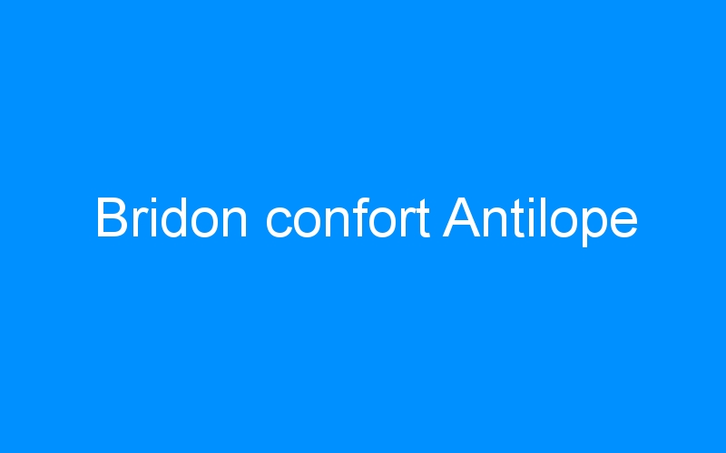 You are currently viewing Bridon confort Antilope