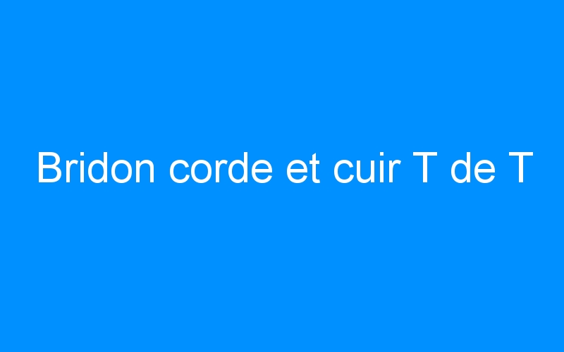 You are currently viewing Bridon corde et cuir T de T