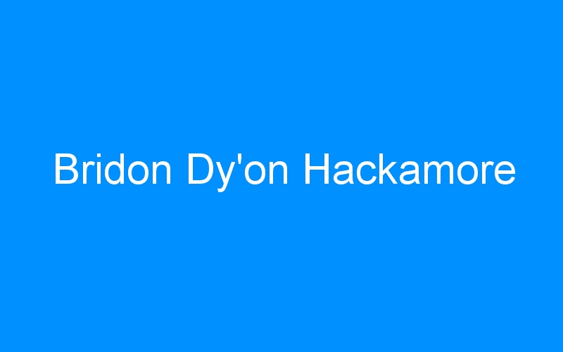 Bridon Dy’on Hackamore
