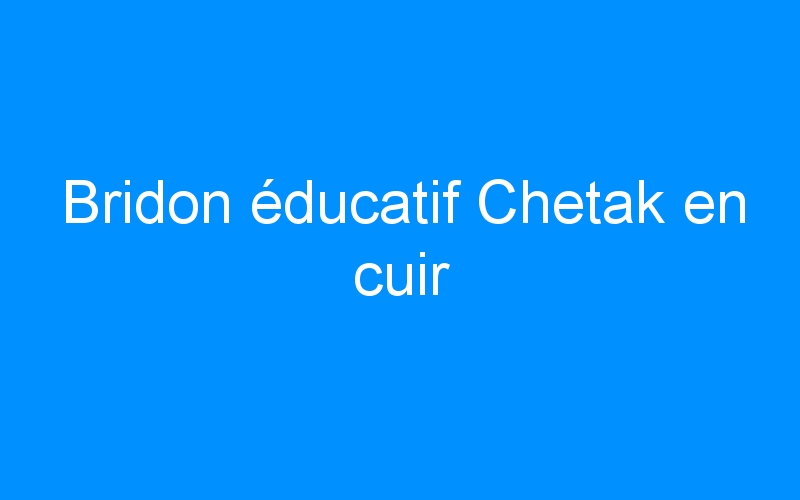 You are currently viewing Bridon éducatif Chetak en cuir