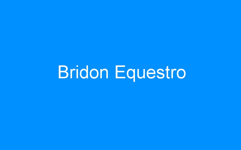 You are currently viewing Bridon Equestro