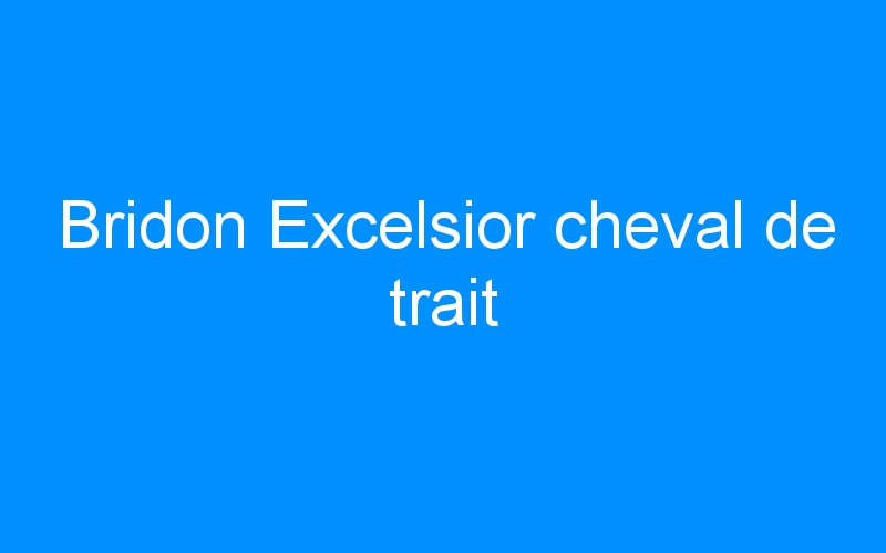 You are currently viewing Bridon Excelsior cheval de trait