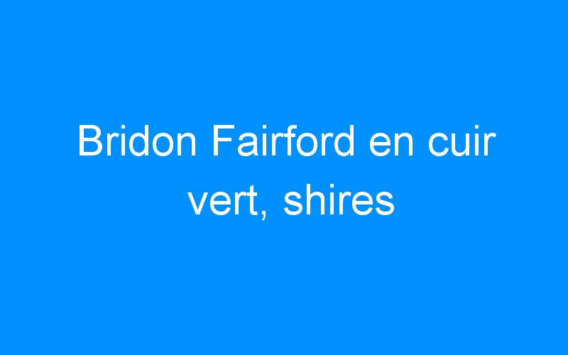 You are currently viewing Bridon Fairford en cuir vert, shires
