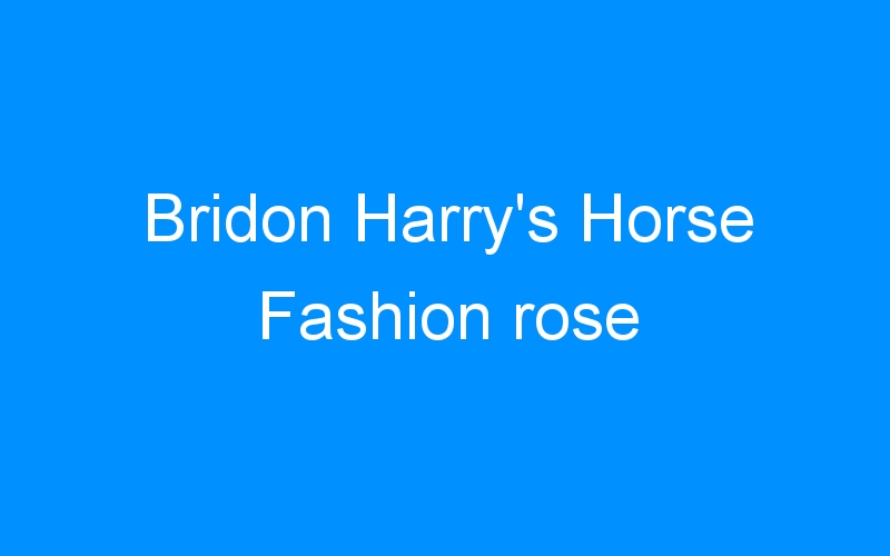 You are currently viewing Bridon Harry’s Horse Fashion rose
