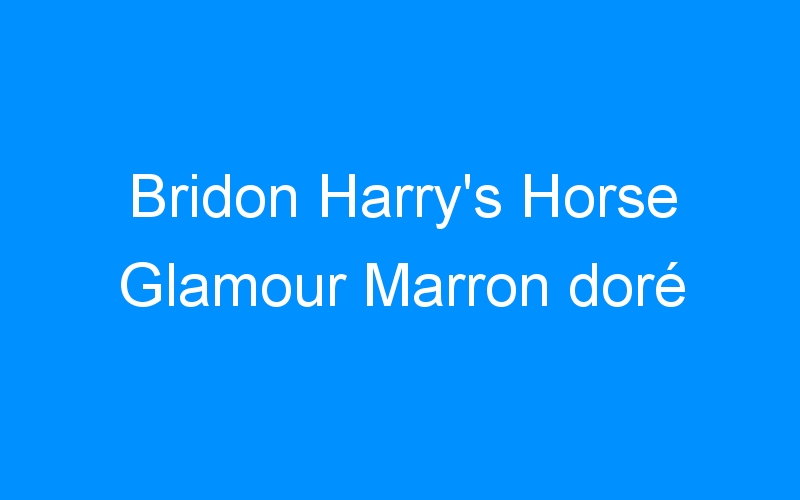 You are currently viewing Bridon Harry’s Horse Glamour Marron doré