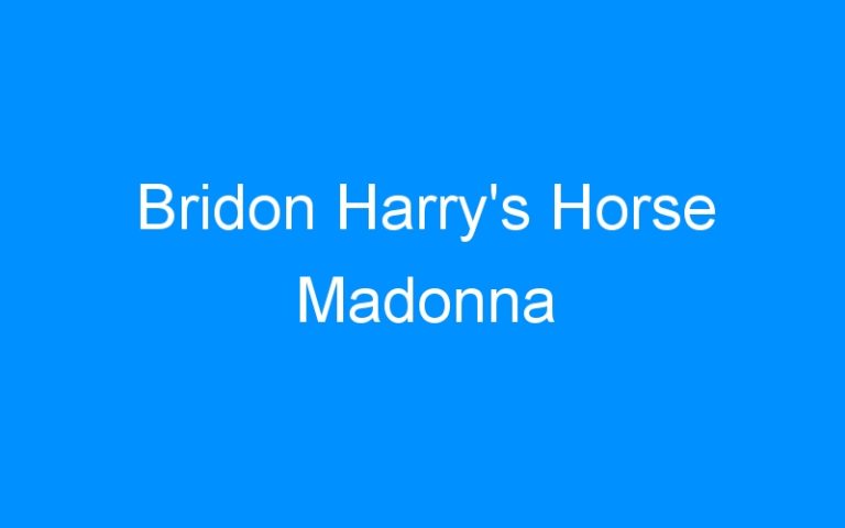 Lire la suite à propos de l’article Bridon Harry’s Horse Madonna