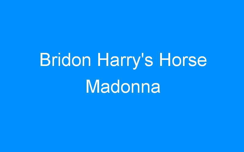You are currently viewing Bridon Harry’s Horse Madonna