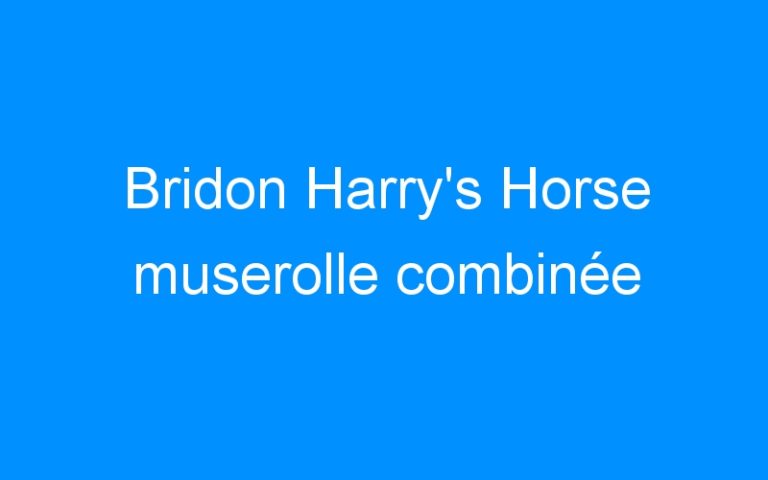 Lire la suite à propos de l’article Bridon Harry’s Horse muserolle combinée