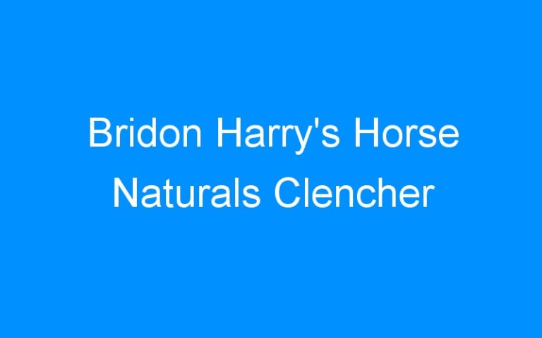 Lire la suite à propos de l’article Bridon Harry’s Horse Naturals Clencher