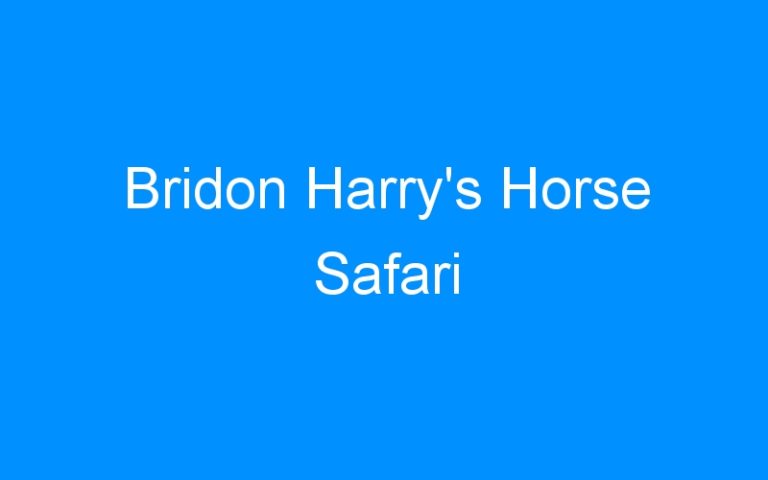 Lire la suite à propos de l’article Bridon Harry’s Horse Safari