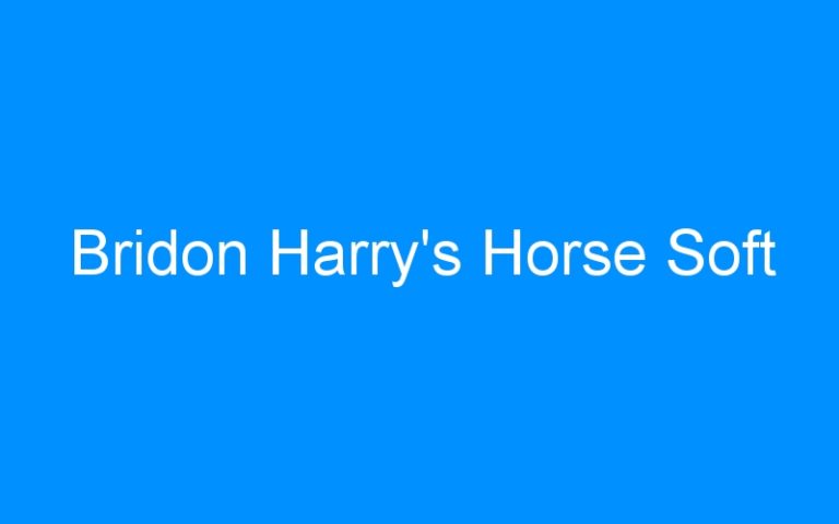 Lire la suite à propos de l’article Bridon Harry’s Horse Soft