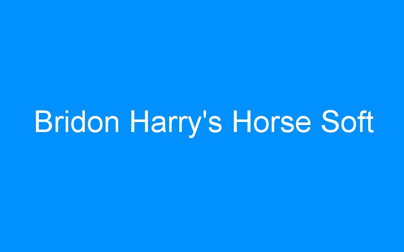 You are currently viewing Bridon Harry’s Horse Soft