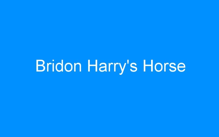 Lire la suite à propos de l’article Bridon Harry’s Horse