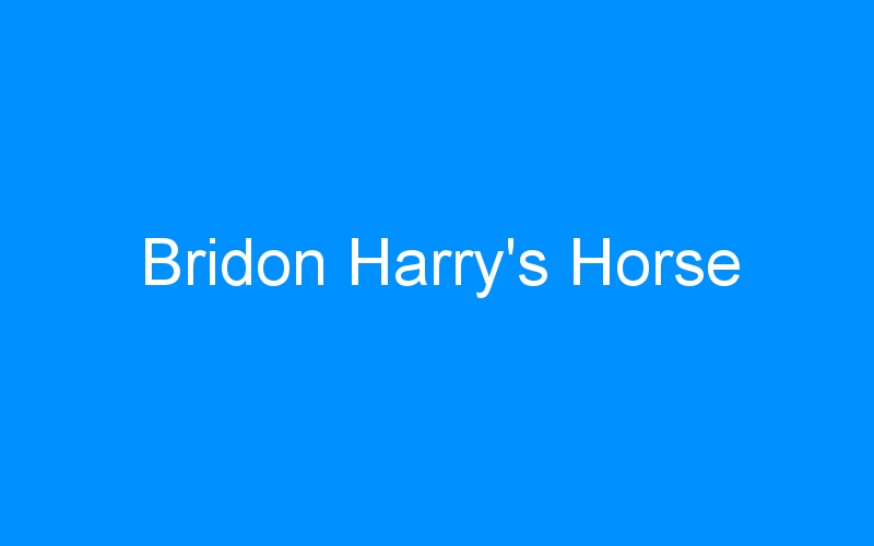 You are currently viewing Bridon Harry’s Horse
