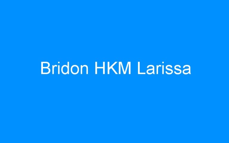 Lire la suite à propos de l’article Bridon HKM Larissa