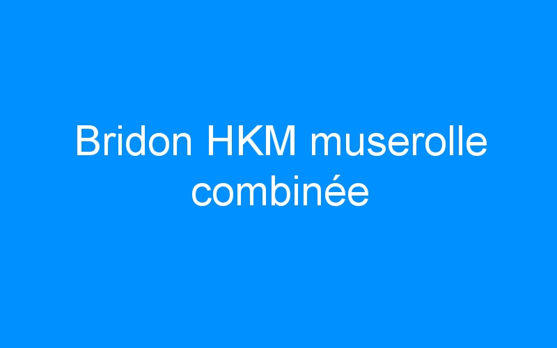 You are currently viewing Bridon HKM muserolle combinée