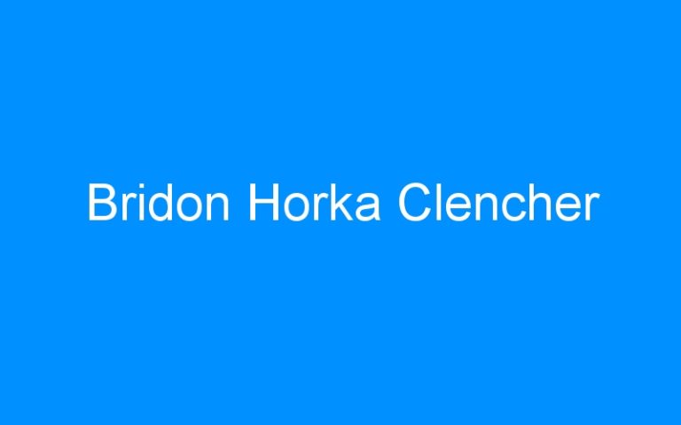 Lire la suite à propos de l’article Bridon Horka Clencher