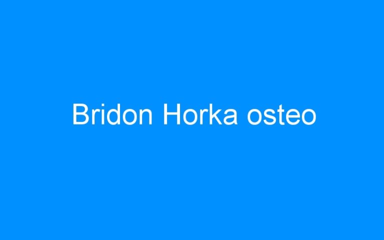 Lire la suite à propos de l’article Bridon Horka osteo