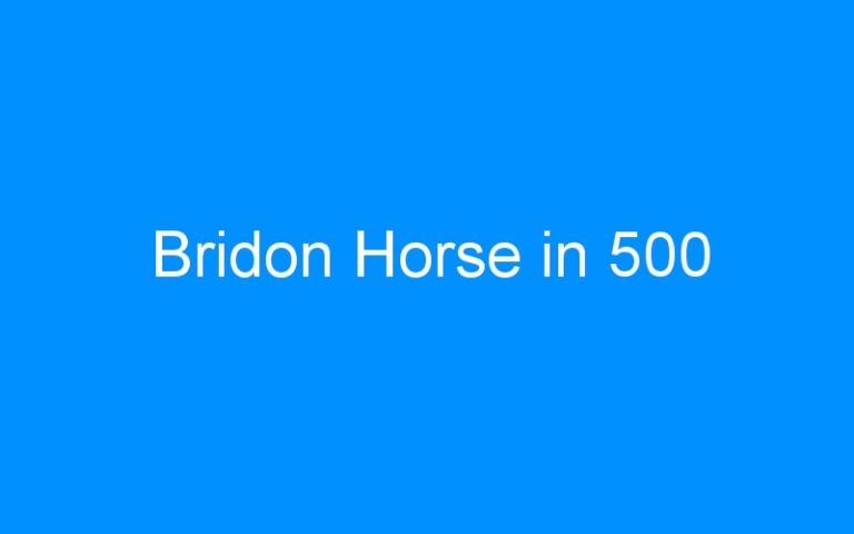 Lire la suite à propos de l’article Bridon Horse in 500
