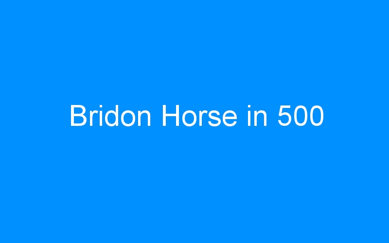 You are currently viewing Bridon Horse in 500