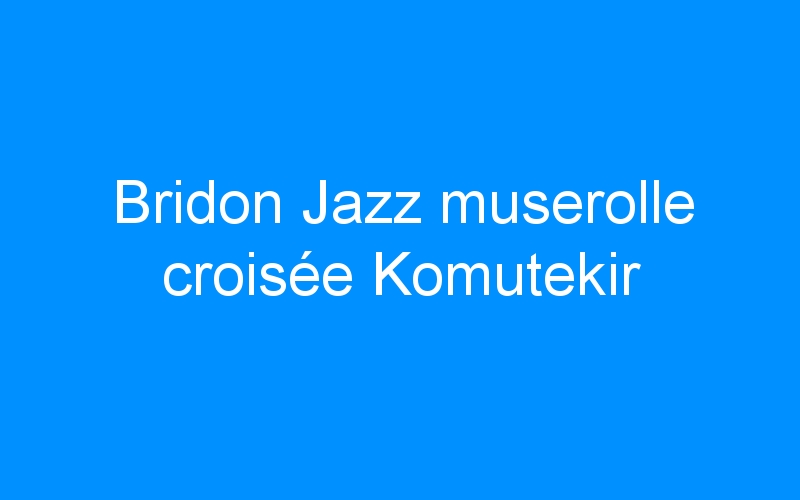You are currently viewing Bridon Jazz muserolle croisée Komutekir