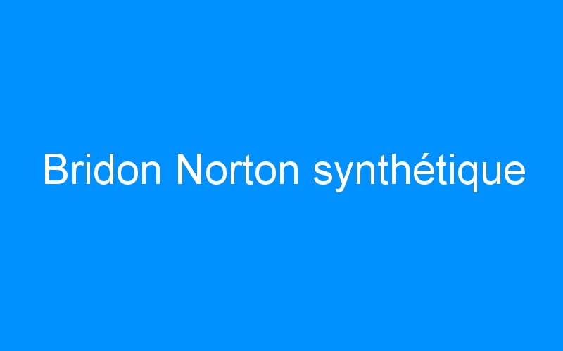 You are currently viewing Bridon Norton synthétique